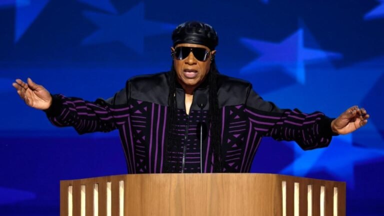 stevie wonder DNC